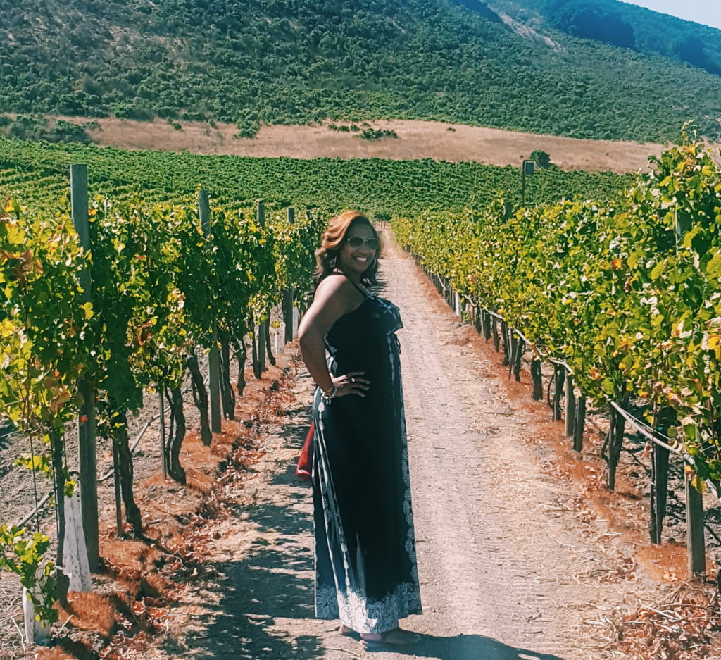 TK - sonoma valley wine tasting