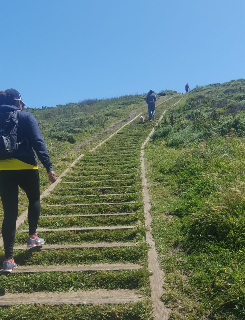 mori point - best Bay Area hikes