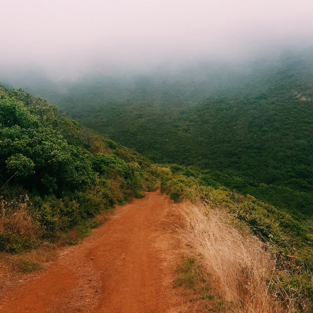 rodeo trail - best Bay Area hikes